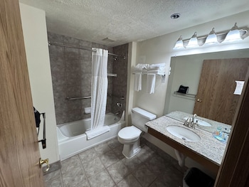 Room, 1 King Bed