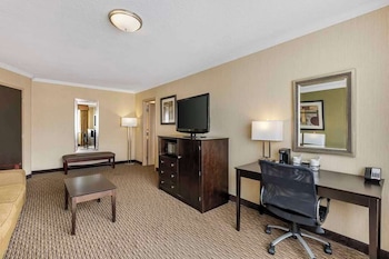 Suite, 1 King Bed with Sofa bed