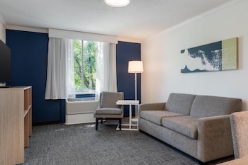 Suite, 1 King Bed with Sofa bed