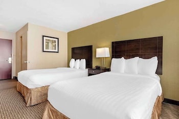 Standard Double Room, 2 Double Beds