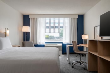 Room, 1 King Bed