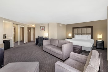 Suite, Multiple Beds, Non Smoking, Refrigerator & Microwave (Living Room;with Sofabed)