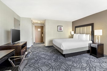 Standard Room, 1 King Bed, Refrigerator, River View