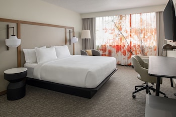 Room, 1 King Bed