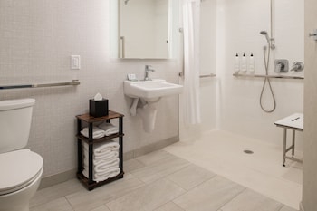 Room, 1 King Bed (Mobility Accessible, Roll-In Shower)