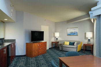 Suite, 1 King Bed with Sofa bed