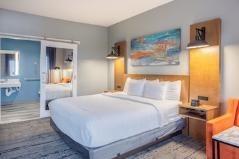 Room, 1 King Bed, Accessible, Non Smoking