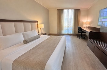 Superior Suite, 1 Bedroom