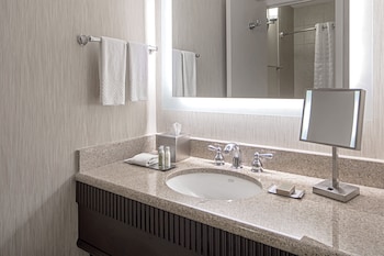King, Suite, Accessible, Bathtub