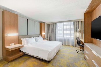 Room, 1 King Bed