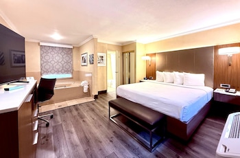 Standard Room, 1 King Bed, Non Smoking, Jetted Tub (Lower Level)