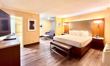Standard Room, 1 King Bed, Non Smoking (with Sofabed)