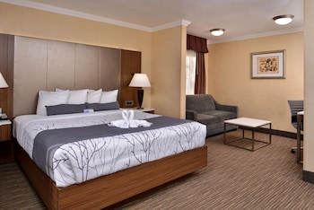 Standard Room, 1 King Bed, Non Smoking (with Sofabed)