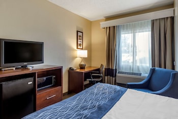 Room, 1 Queen Bed, Accessible, Non Smoking (Roll-In Shower)