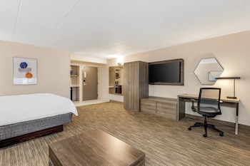 Standard Room, 1 King Bed with Sofa bed