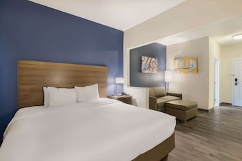 Suite, 1 King Bed with Sofa bed, Non Smoking (Efficiency)
