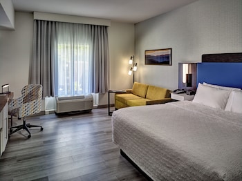 Room, 1 King Bed with Sofa bed, Accessible (Hearing)