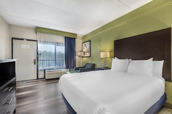 Standard Room, 1 Queen Bed, Non Smoking, Refrigerator & Microwave