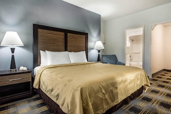 Room, 1 King Bed, Accessible, Non Smoking