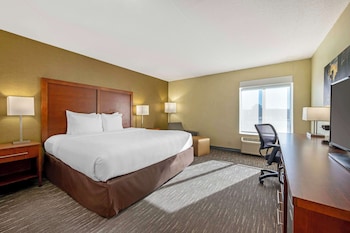 Standard Room, 1 King Bed, Non Smoking