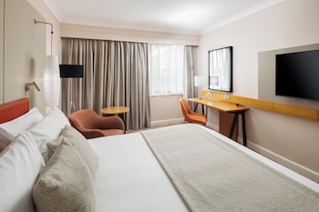 Standard Room, 1 King Bed (Minibar)