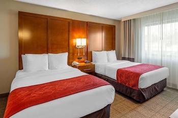 Business Suite, 2 Double Beds with Sofa Sleeper