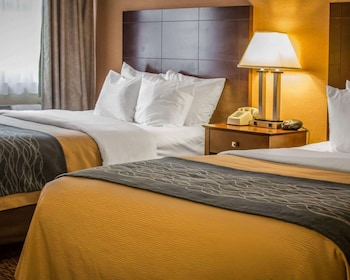 Room, 2 Queen Beds, Non Smoking (Pet Friendly)