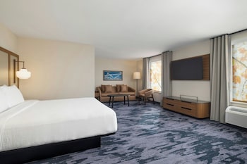 Suite, 1 King Bed with Sofa bed