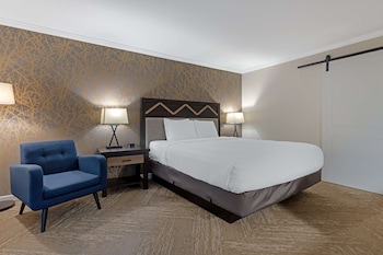 Standard Room, 1 King Bed, Refrigerator & Microwave, Ground Floor (Walk-in Shower)