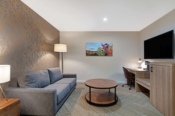 Suite, 2 Queen Beds, Non Smoking, Refrigerator & Microwave (Living Room;Walk-in Shower)