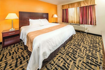 Room, 1 King Bed, Accessible, Non Smoking