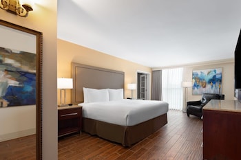 Suite, 1 King Bed, Non Smoking (One-Bedroom Suite)
