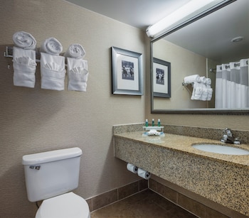 Suite, 1 King Bed (Additional Living Area)