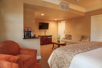 Standard Room, 1 King Bed, Accessible, Non Smoking (with Sofabed)