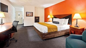 Standard Room, 1 King Bed, Non Smoking