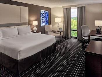 Room, 1 King Bed, Accessible