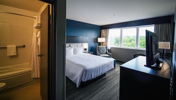Standard Room, 1 King Bed, Refrigerator & Microwave, Lake View (Pet Friendly)