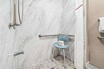 Standard Room, 1 King Bed, Accessible (Roll-In Shower, Smoke Free)