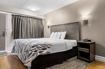 Standard Room, 1 King Bed, Accessible (Roll-In Shower, Smoke Free)