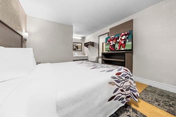 Standard Room, 1 King Bed (First Floor - Smoke Free)