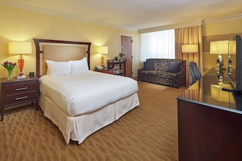 Room, 1 Queen Bed with Sofa bed