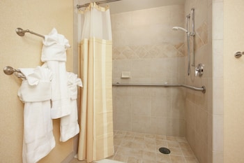 Room, Accessible (Roll-in Shower)