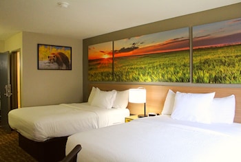 Standard Room, 1 Queen Bed, Non Smoking