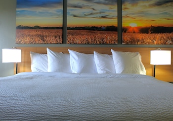 Standard Room, 1 King Bed, Accessible, Non Smoking