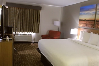 Standard Room, 1 King Bed, Accessible, Non Smoking