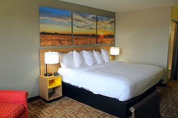 Standard Room, 1 King Bed, Accessible, Non Smoking
