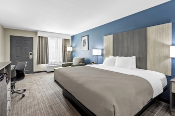 Standard Room, 1 King Bed, Non Smoking