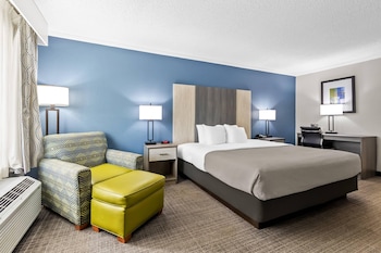 Room, 1 King Bed, Accessible, Non Smoking