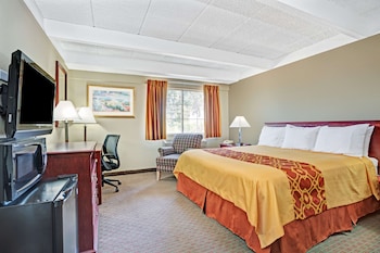 Room, 1 Queen Bed (Mobility, Roll-In Shower)
