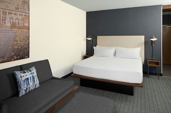 Room, 1 King Bed with Sofa bed